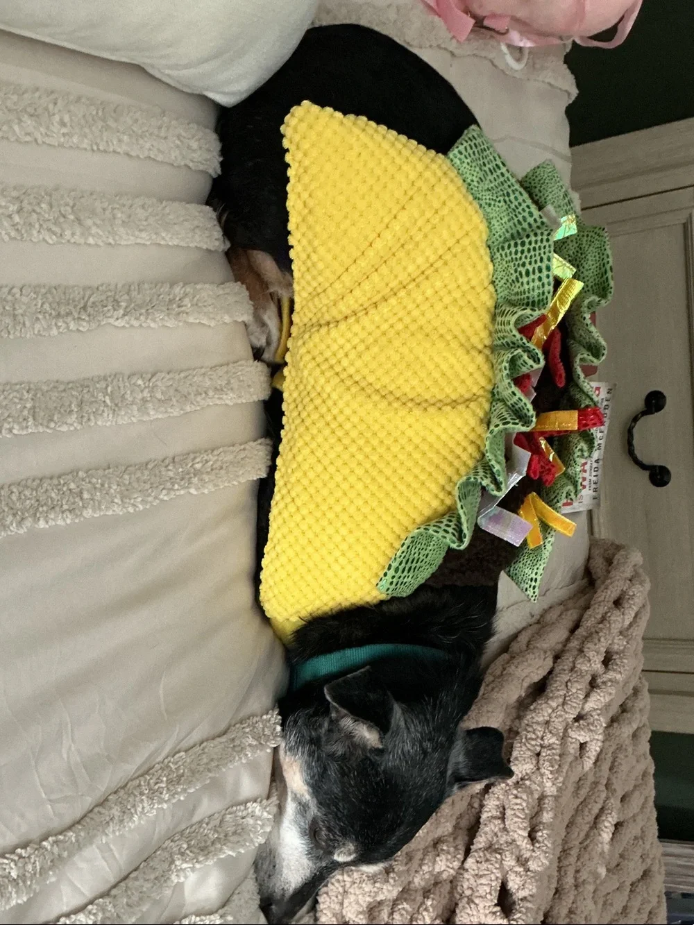 Source Unknown Yellow and Green Taco Plush Dog Toy